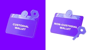 custodial wallets vs non custodial wallets